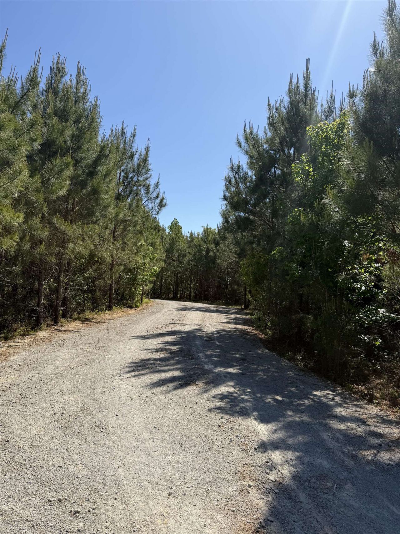 2230 Pee Dee Hwy. Photo 15