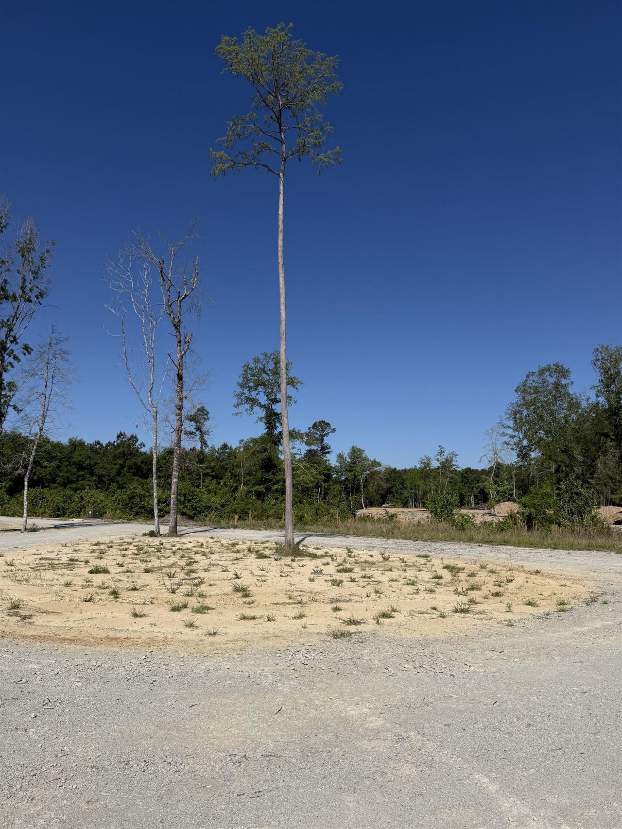 2230 Pee Dee Hwy. Photo 18