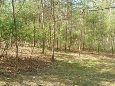 LOT 187 SANDPIPER DR. , BASYE, VA 22810