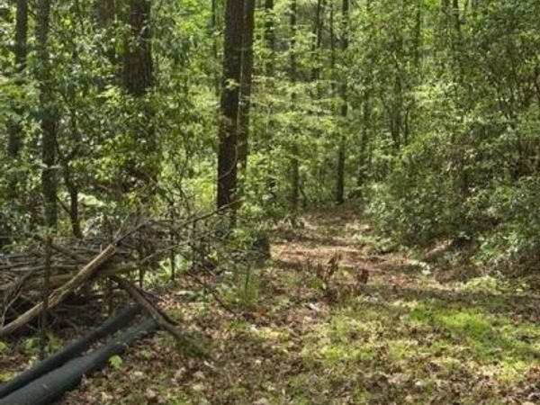 348 Hemlock Trail , Ellijay, GA 30540