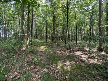 32 Oak Drive, Albright, WV 26519