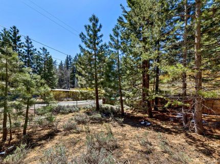 3397 Bruce Drive, South Lake Tahoe, CA 96150 Photo