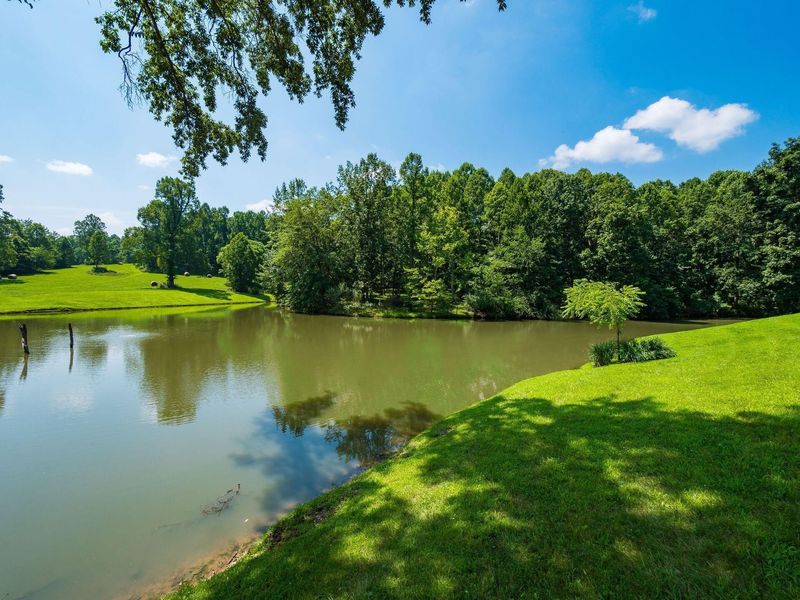 236 Tom Corwin Road, Wellston, OH 45692 Photo 64