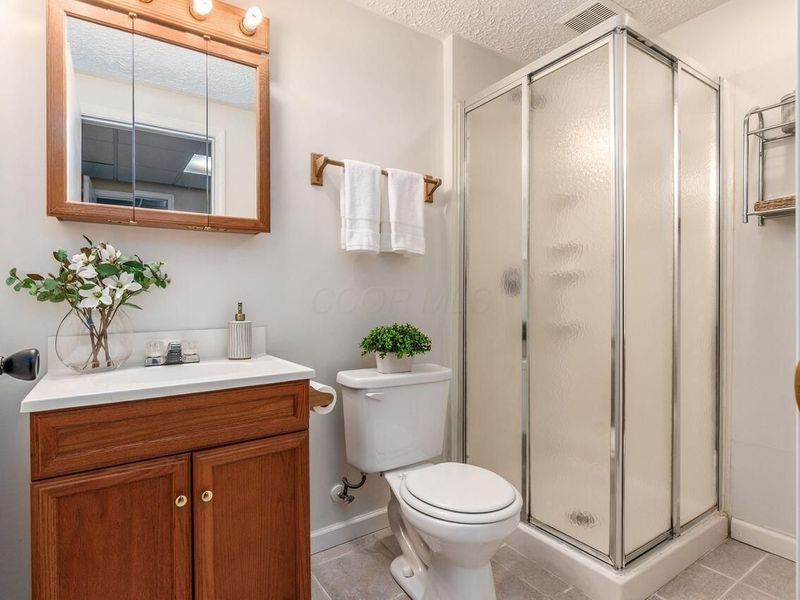 337 Holly Grove Road, Lewis Center, OH 43035 Photo 39