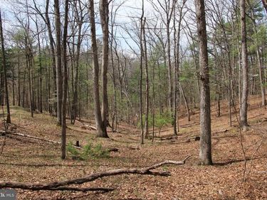 HODGES LOT 12 LANE , WINCHESTER, VA 22603