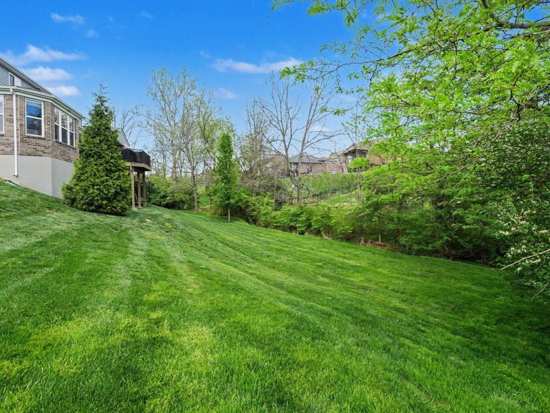 1545 Smarty Jones Court, Union, KY 41091 Photo 44