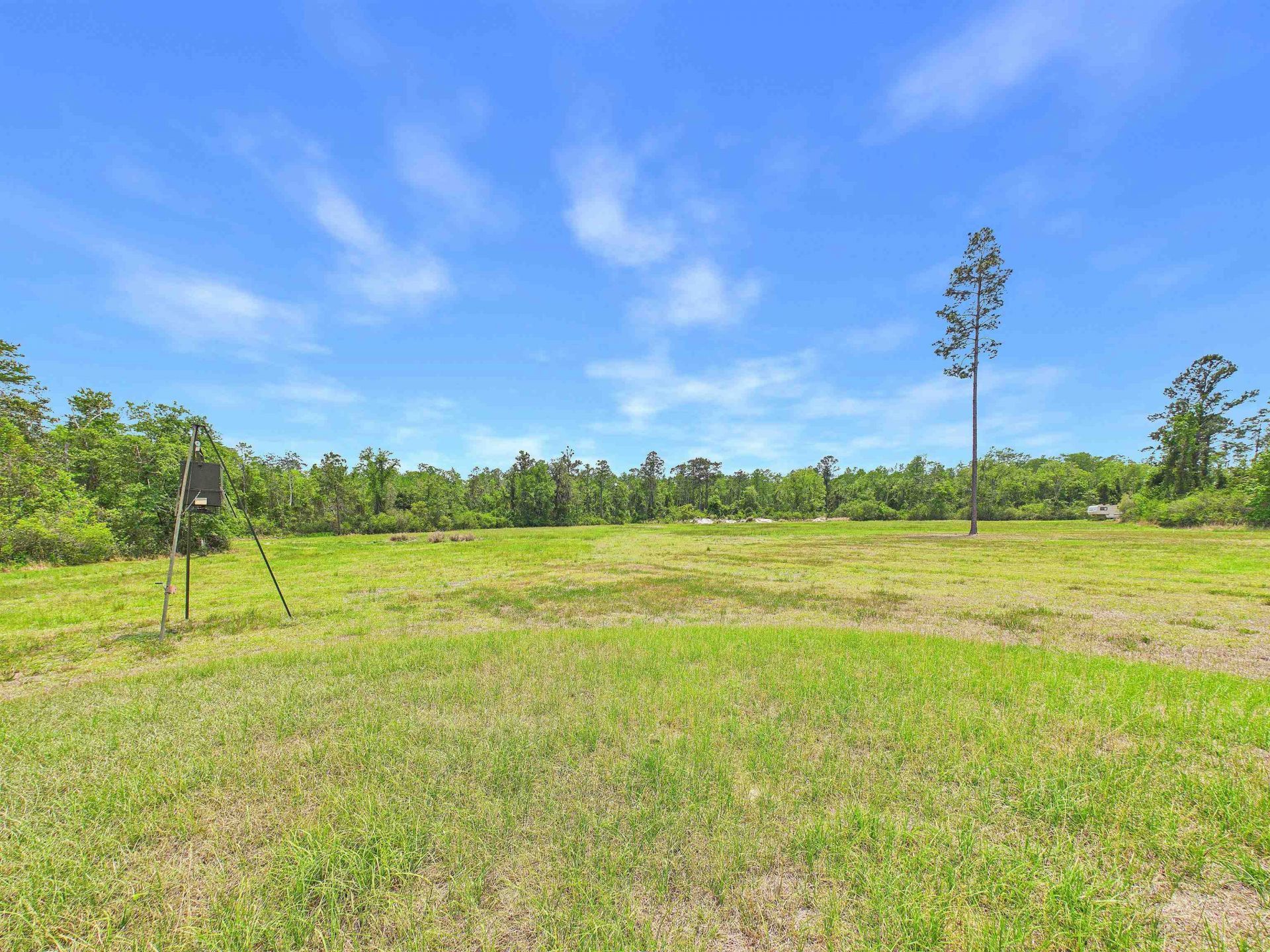 1193 SW Oregon Trail, Greenville, FL 32331 Photo