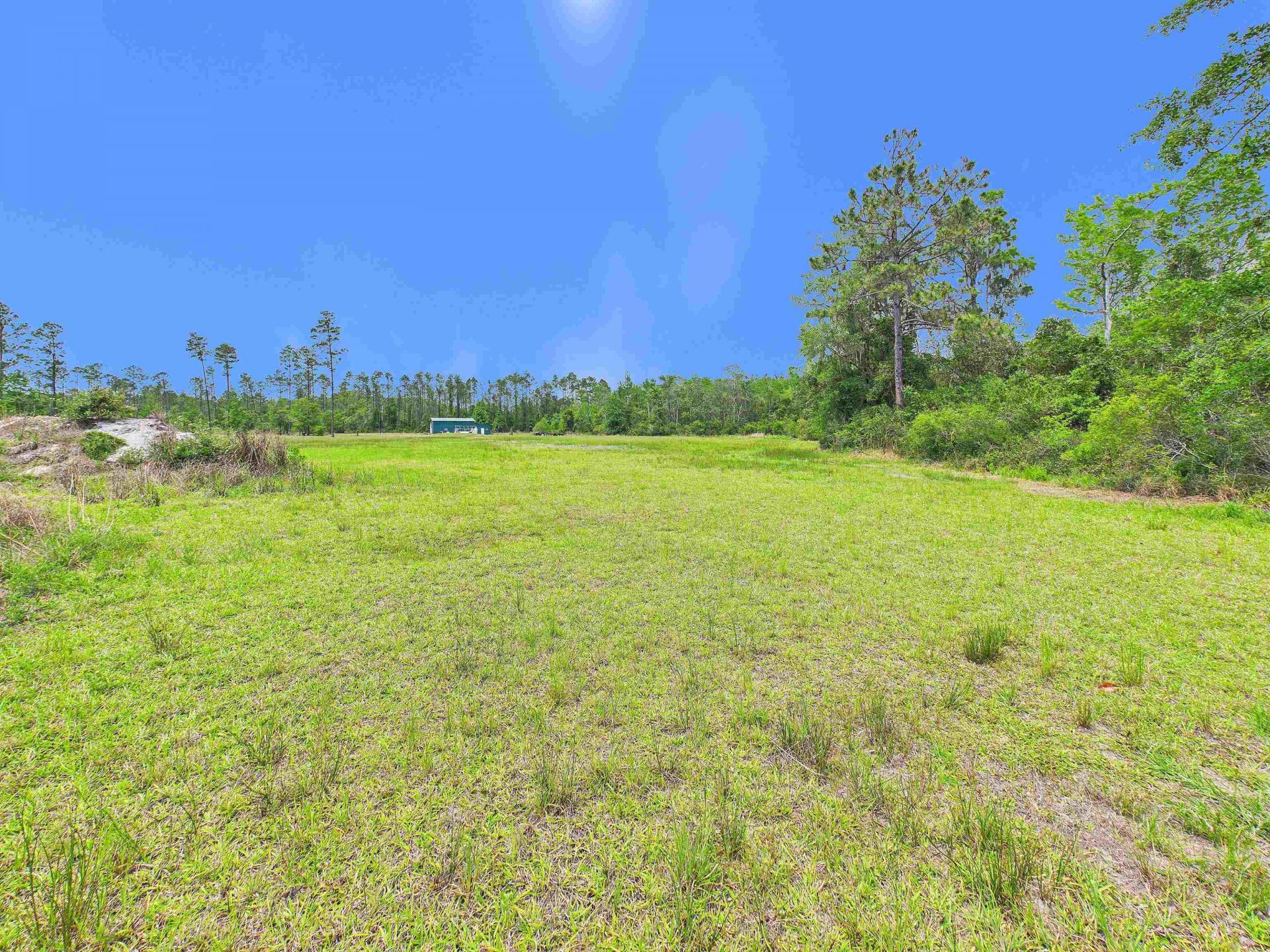 1193 SW Oregon Trail, Greenville, FL 32331 Photo