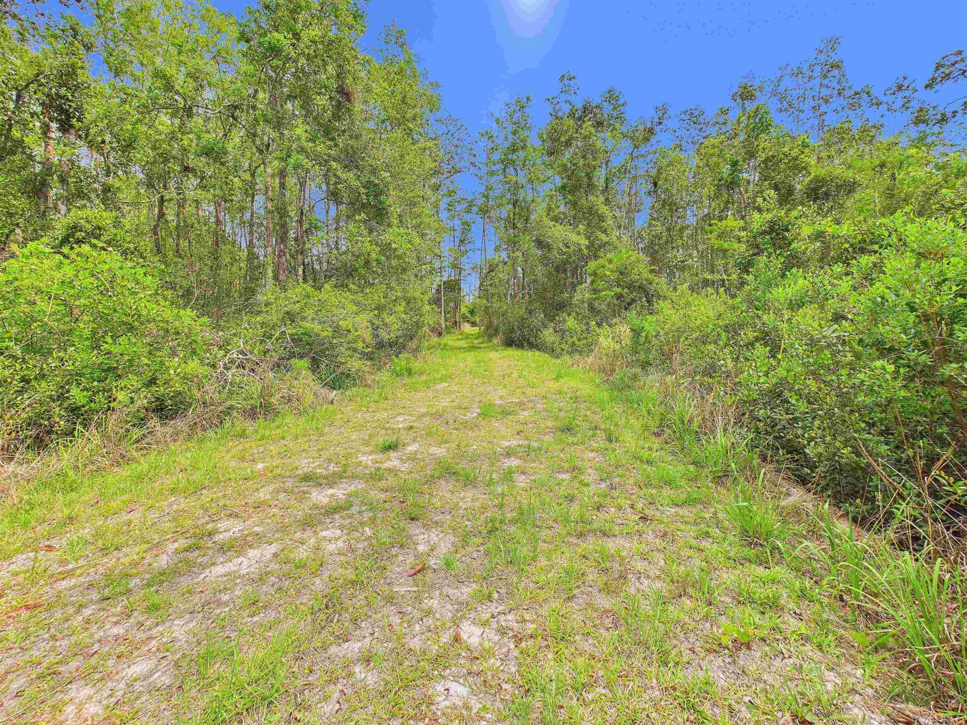 1193 SW Oregon Trail, Greenville, FL 32331 Photo