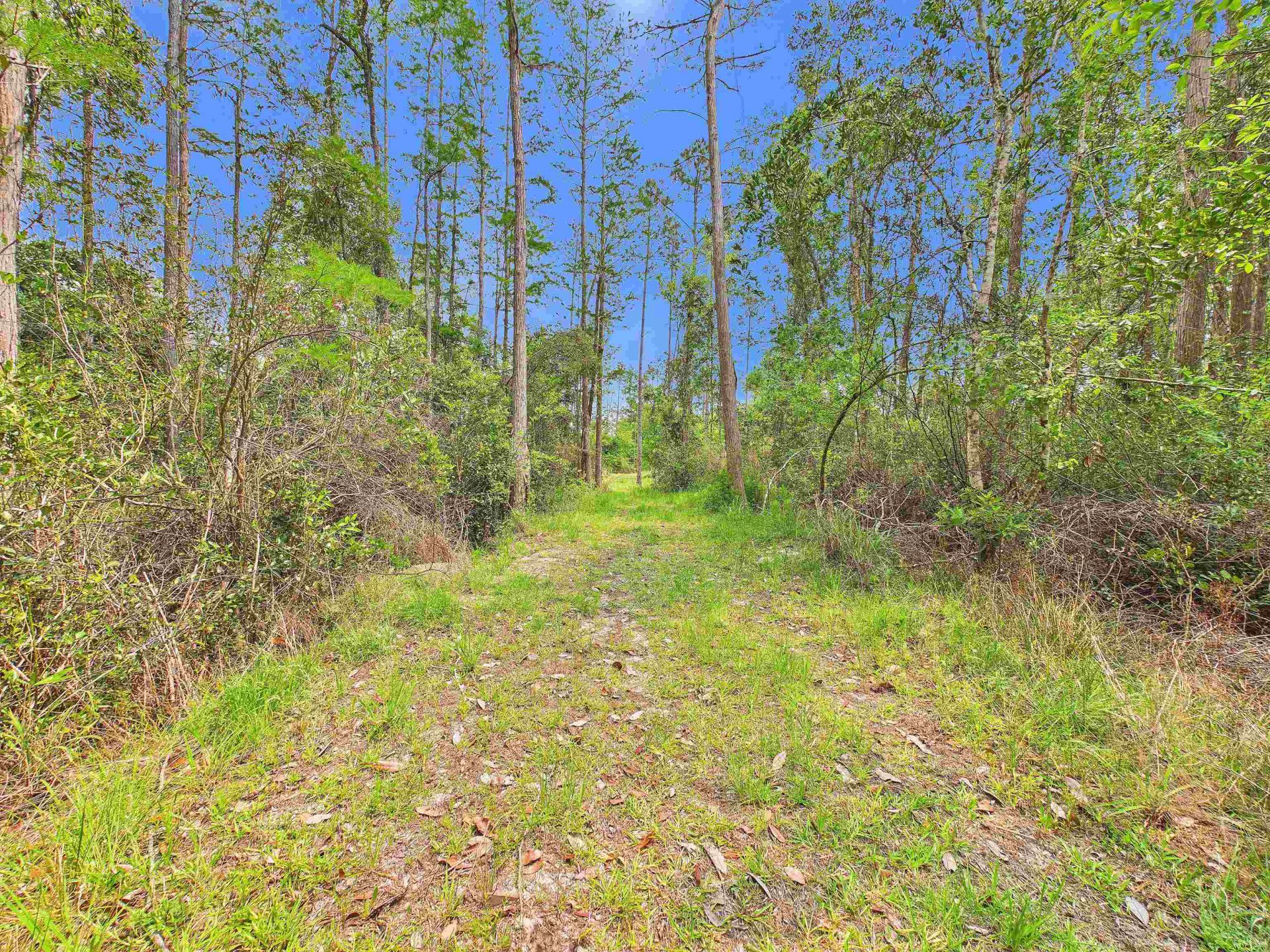 1193 SW Oregon Trail, Greenville, FL 32331 Photo