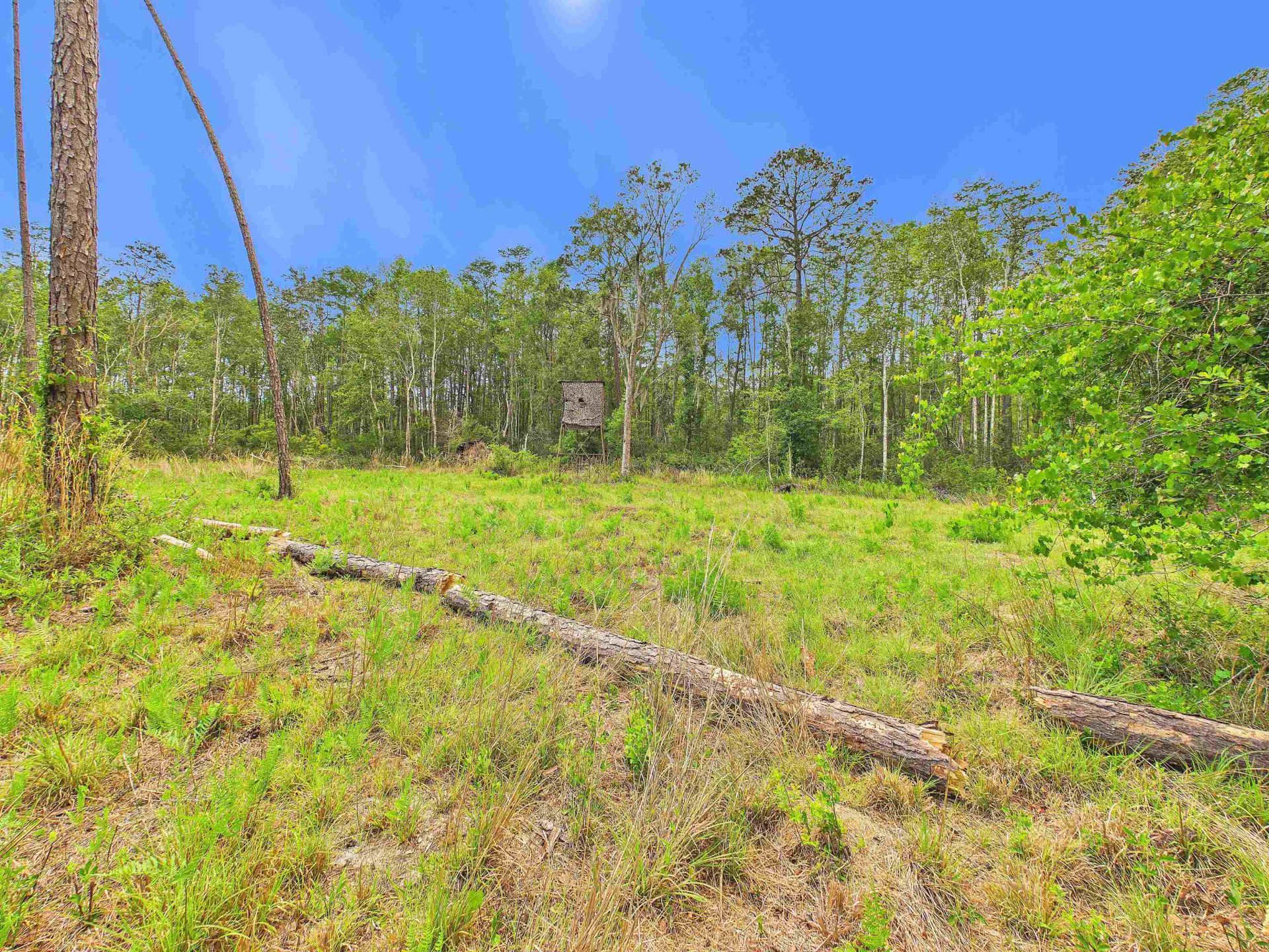 1193 SW Oregon Trail, Greenville, FL 32331 Photo