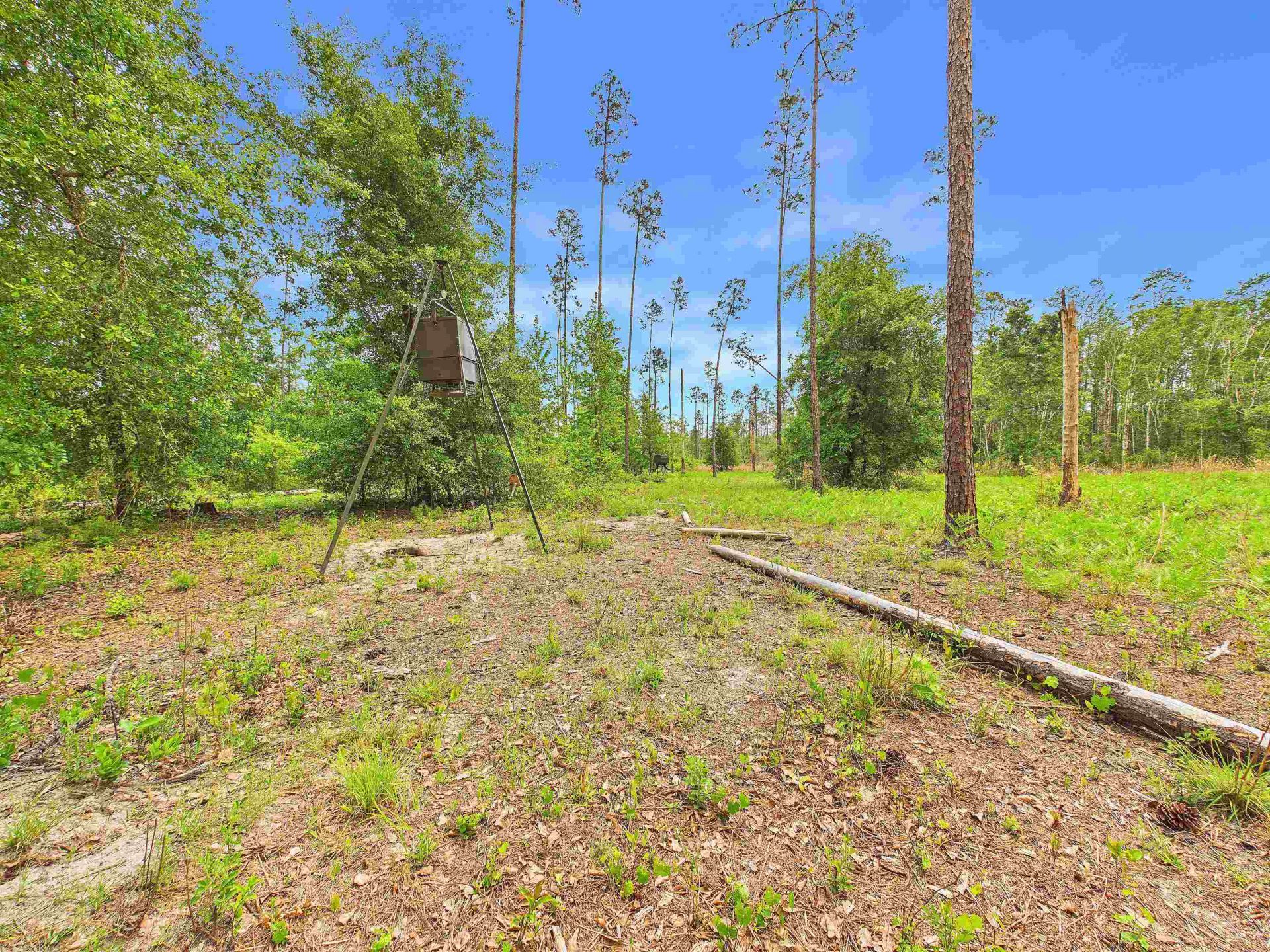 1193 SW Oregon Trail, Greenville, FL 32331 Photo