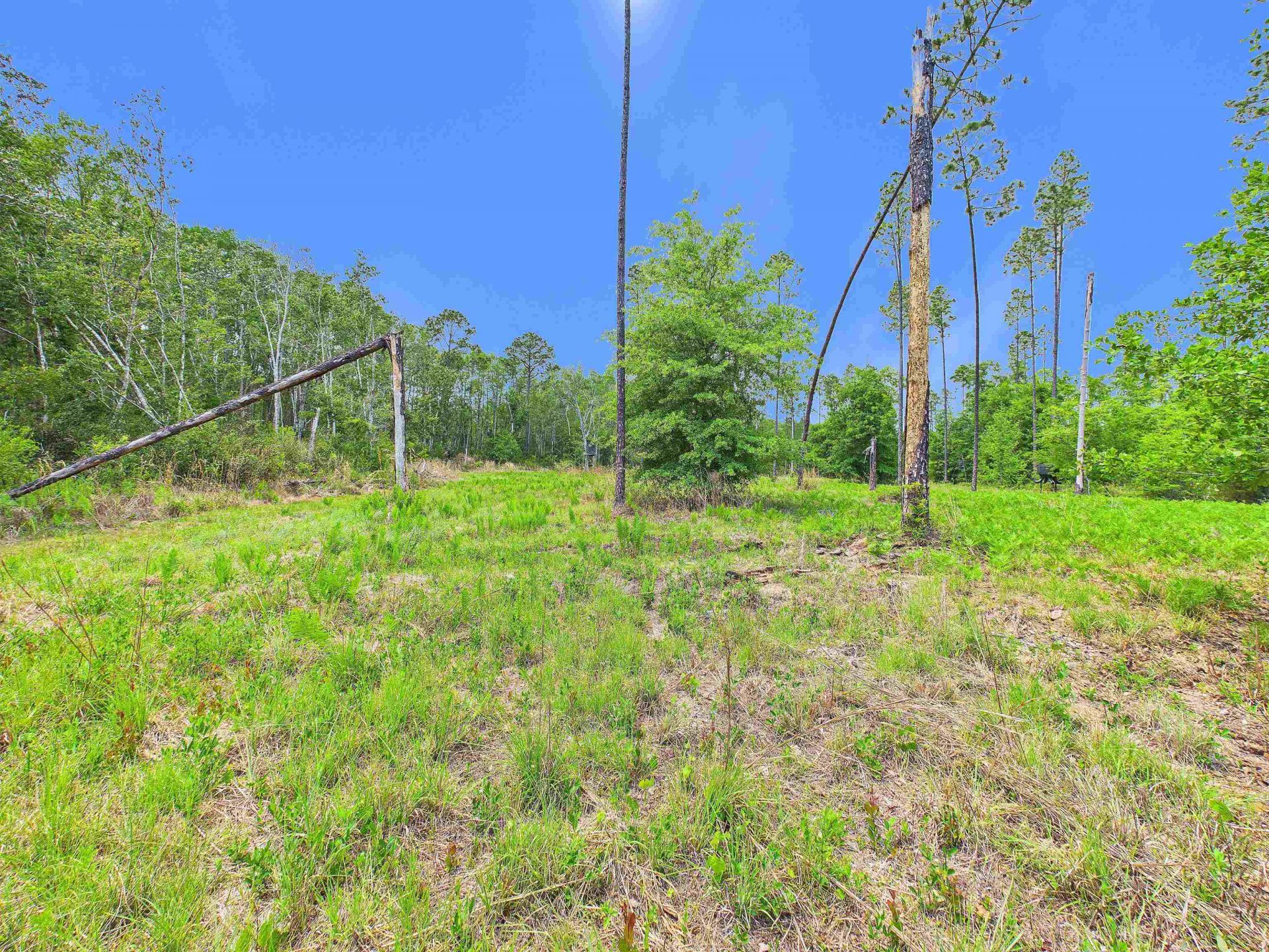 1193 SW Oregon Trail, Greenville, FL 32331 Photo