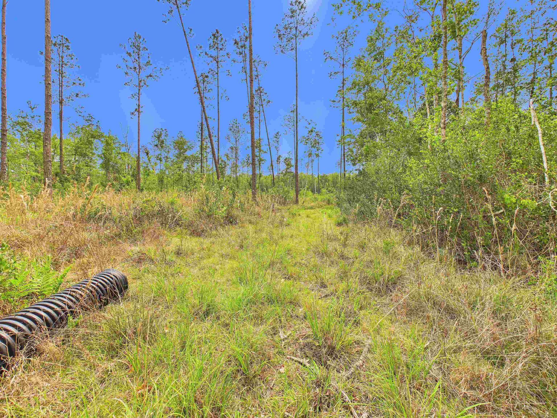 1193 SW Oregon Trail, Greenville, FL 32331 Photo