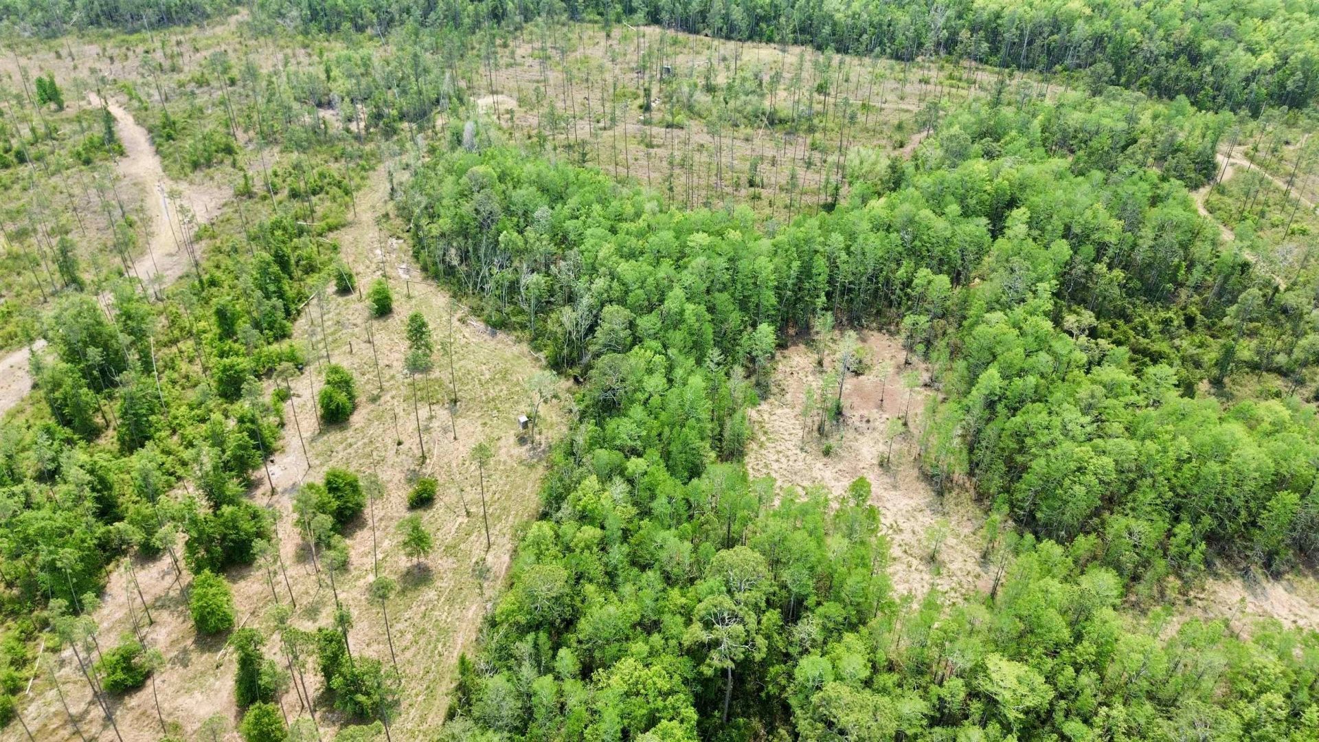 1193 SW Sw Oregon Trail , Greenville, FL 32331 Photo