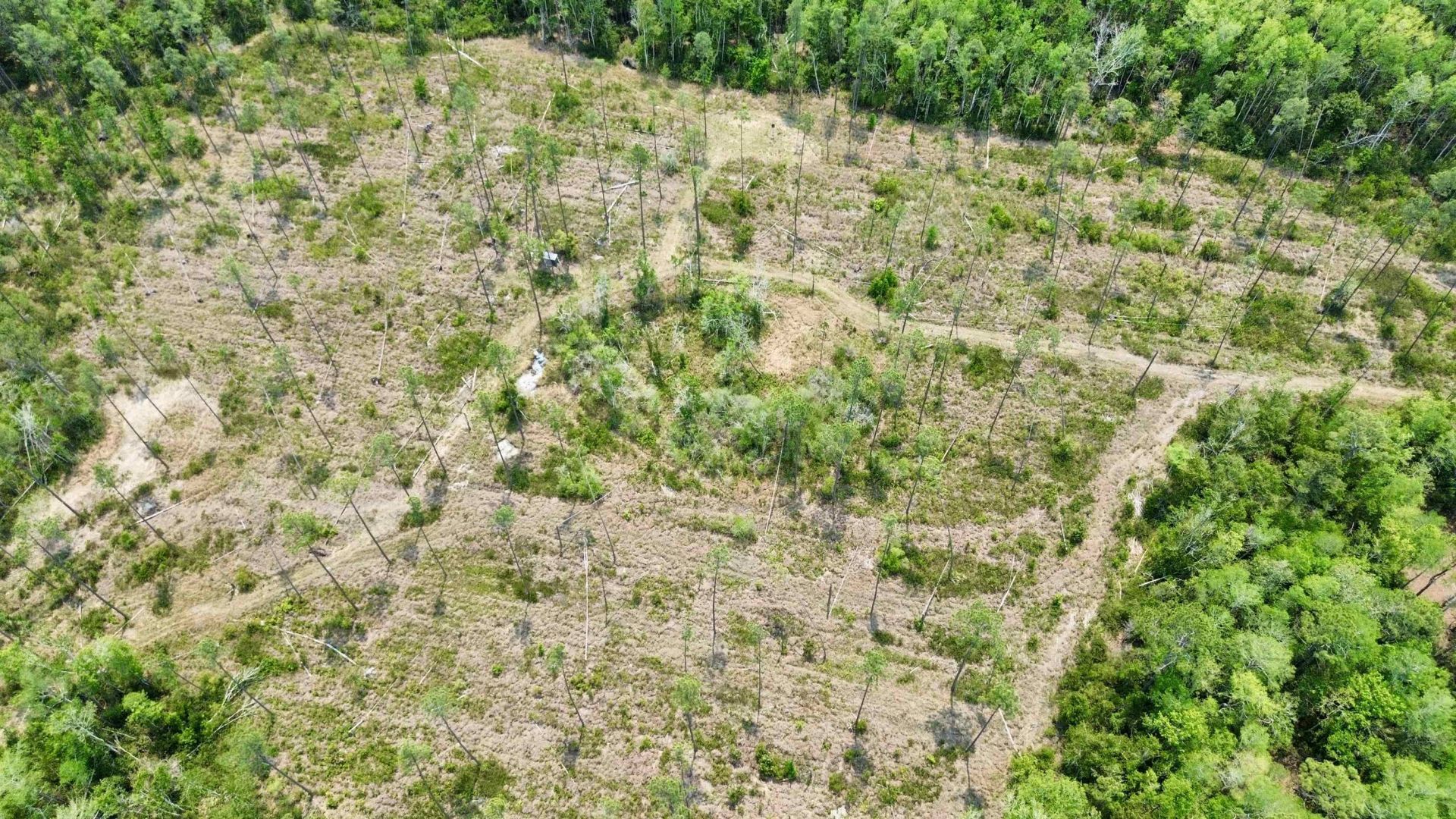 1193 SW Sw Oregon Trail , Greenville, FL 32331 Photo