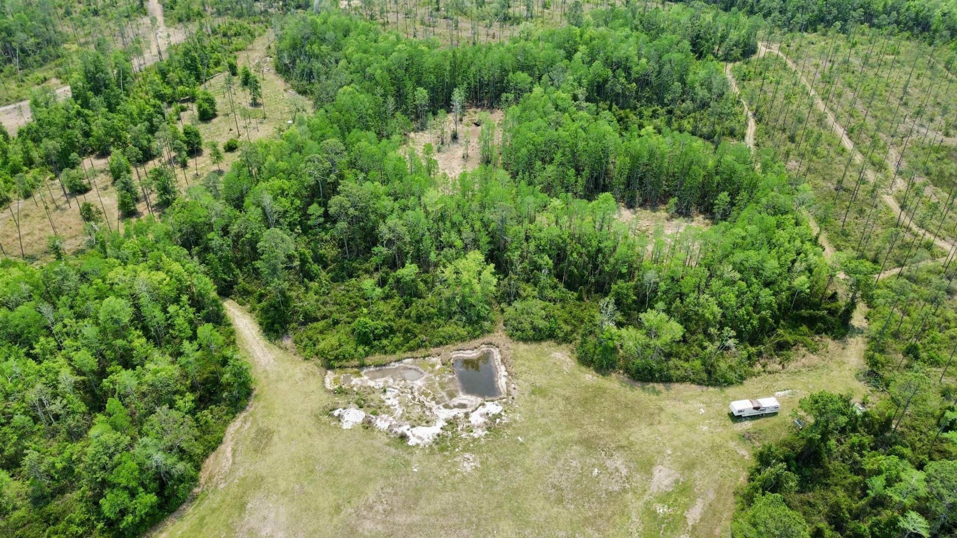 1193 SW Oregon Trail, Greenville, FL 32331 Photo
