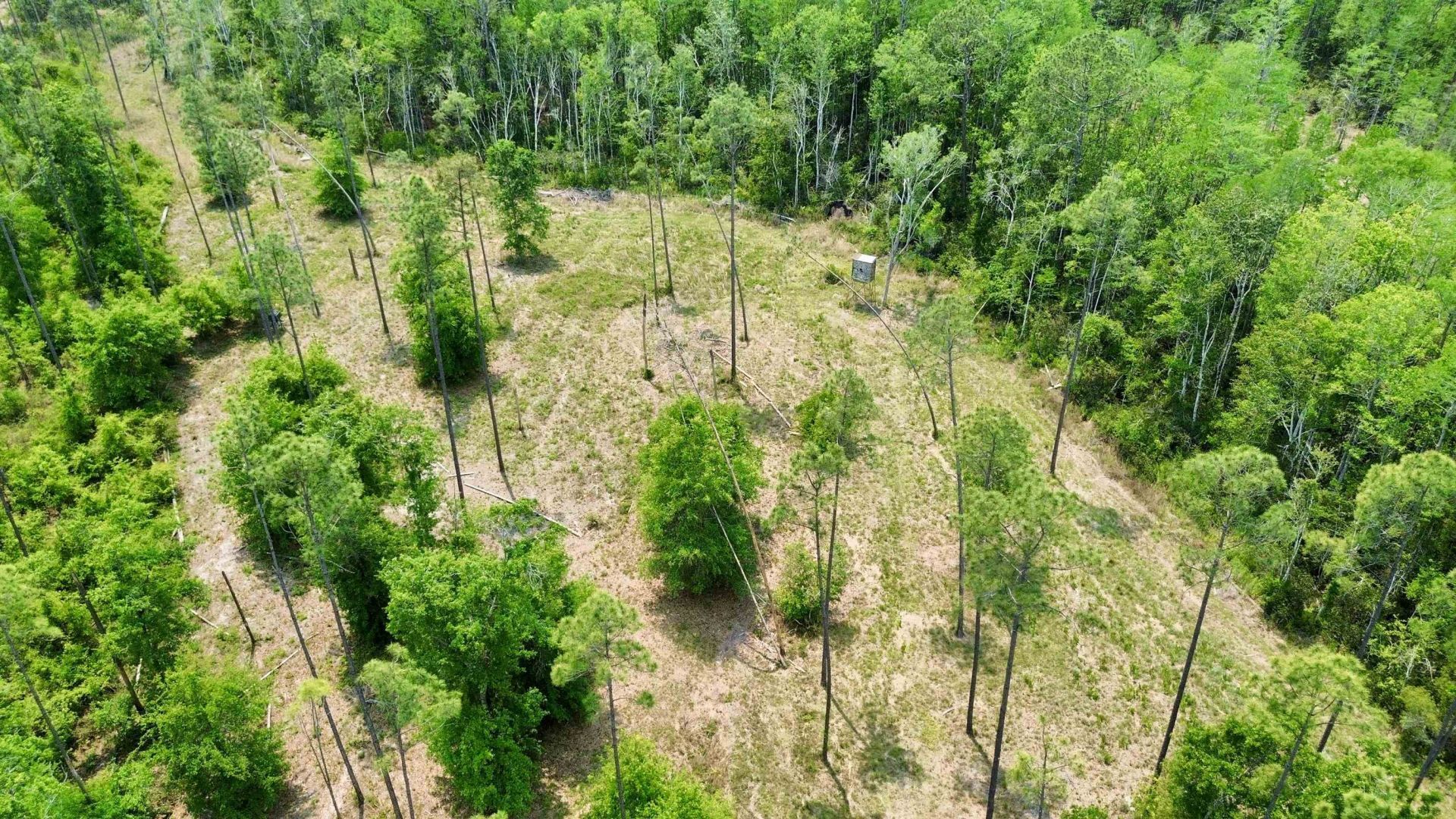 1193 SW Sw Oregon Trail , Greenville, FL 32331 Photo