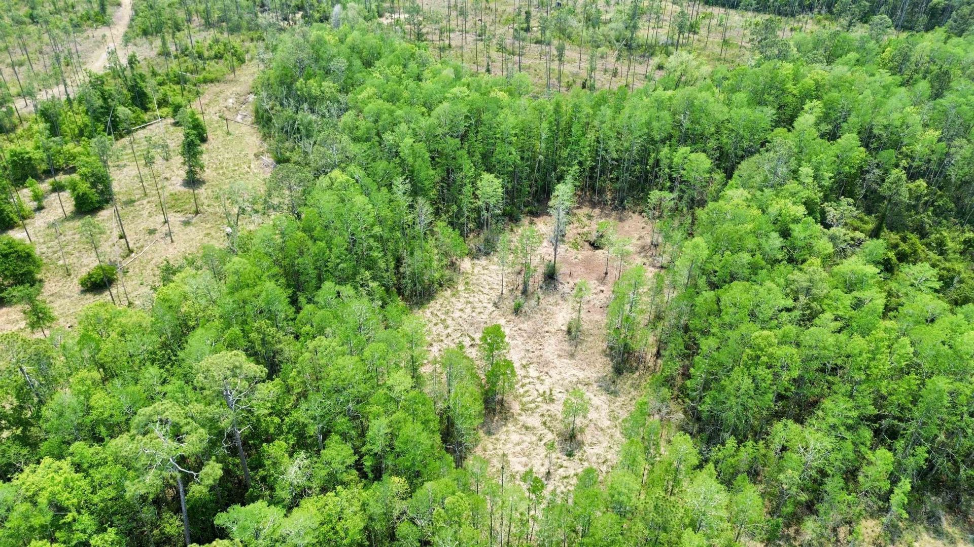 1193 SW Sw Oregon Trail , Greenville, FL 32331 Photo