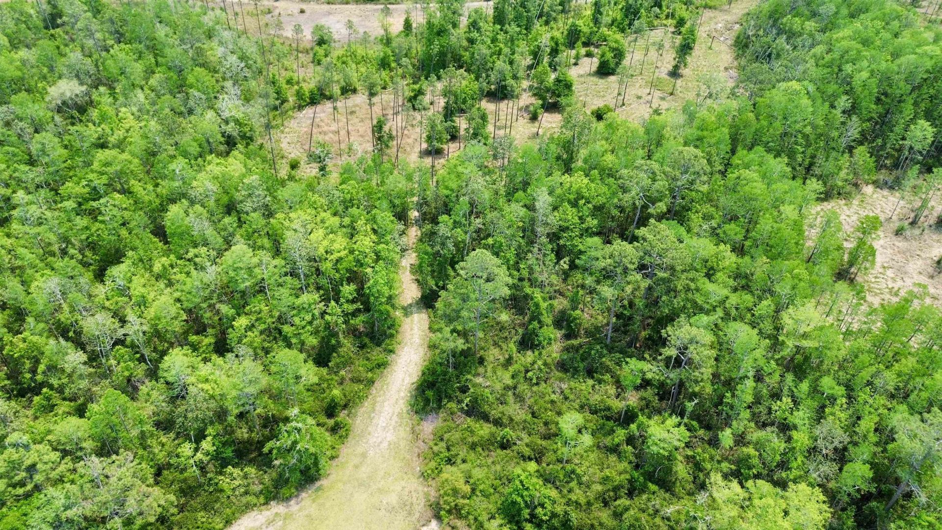 1193 SW Oregon Trail, Greenville, FL 32331 Photo