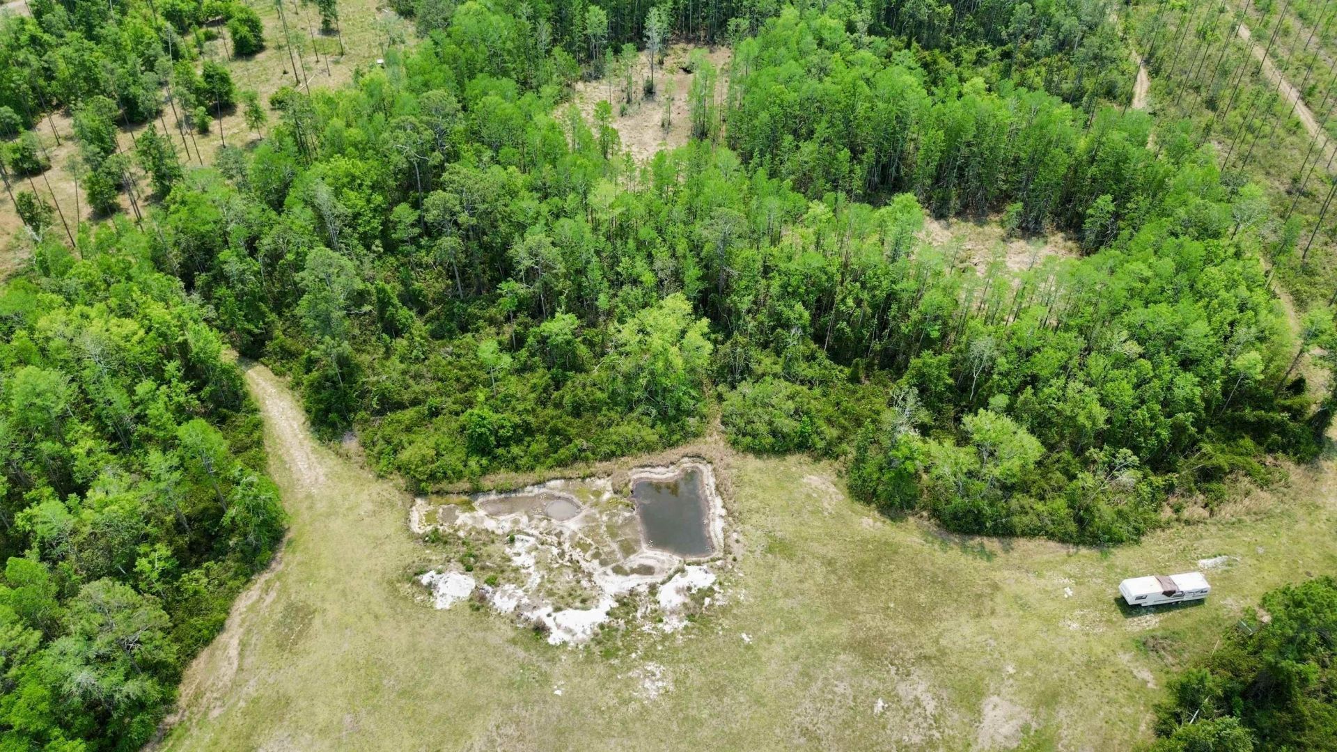 1193 SW Oregon Trail, Greenville, FL 32331 Photo