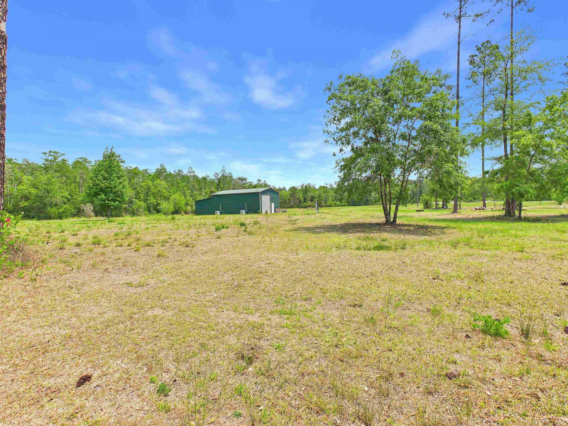 1193 SW Oregon Trail, Greenville, FL 32331 Photo
