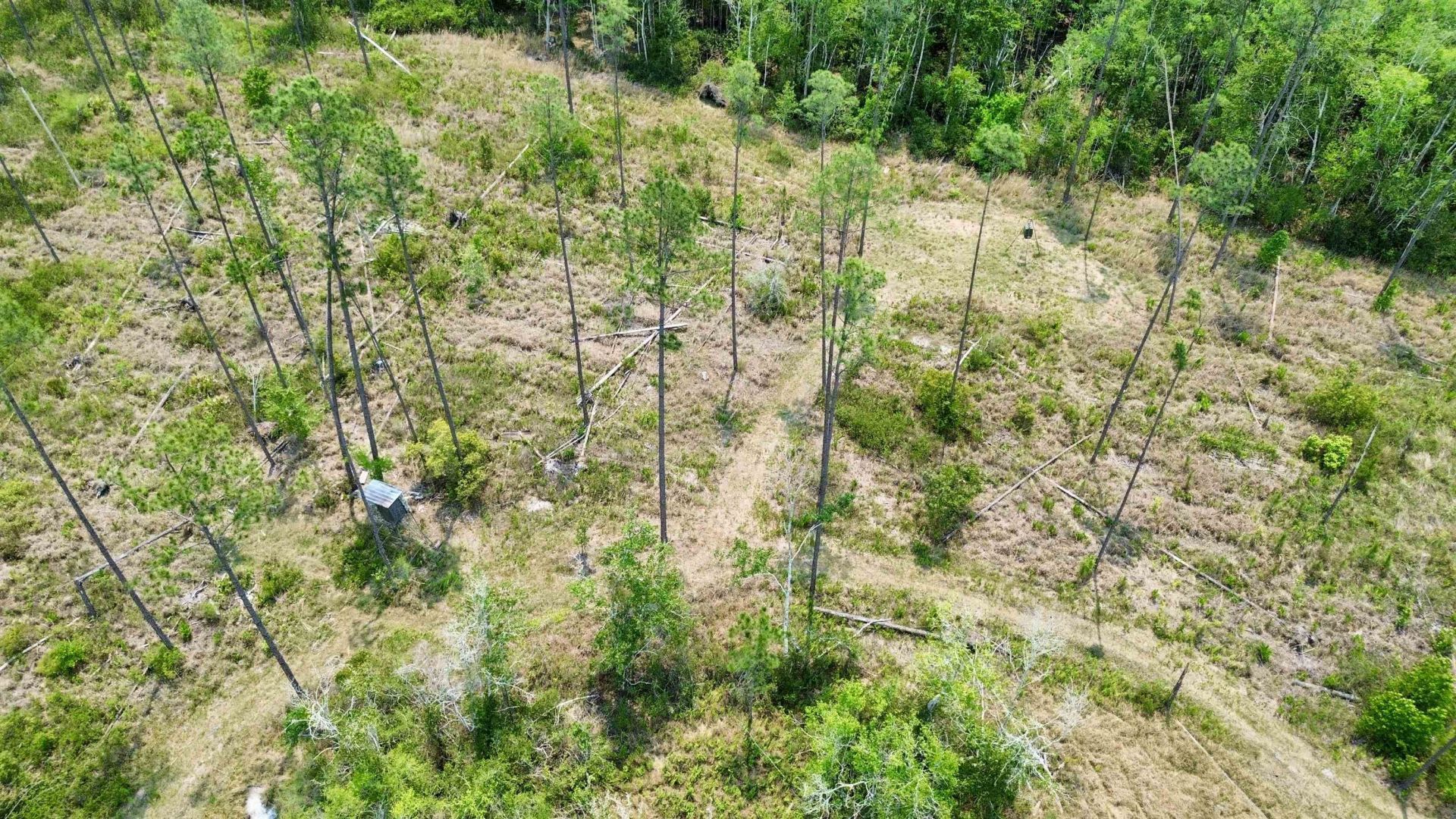1193 SW Oregon Trail, Greenville, FL 32331 Photo