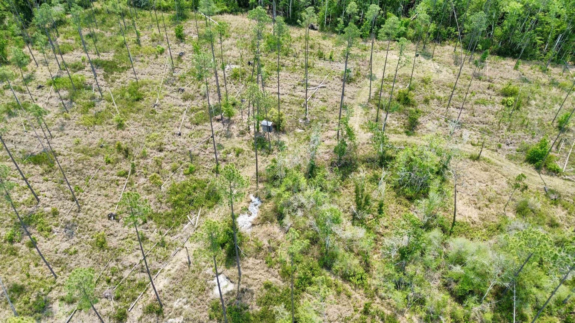 1193 SW Oregon Trail, Greenville, FL 32331 Photo