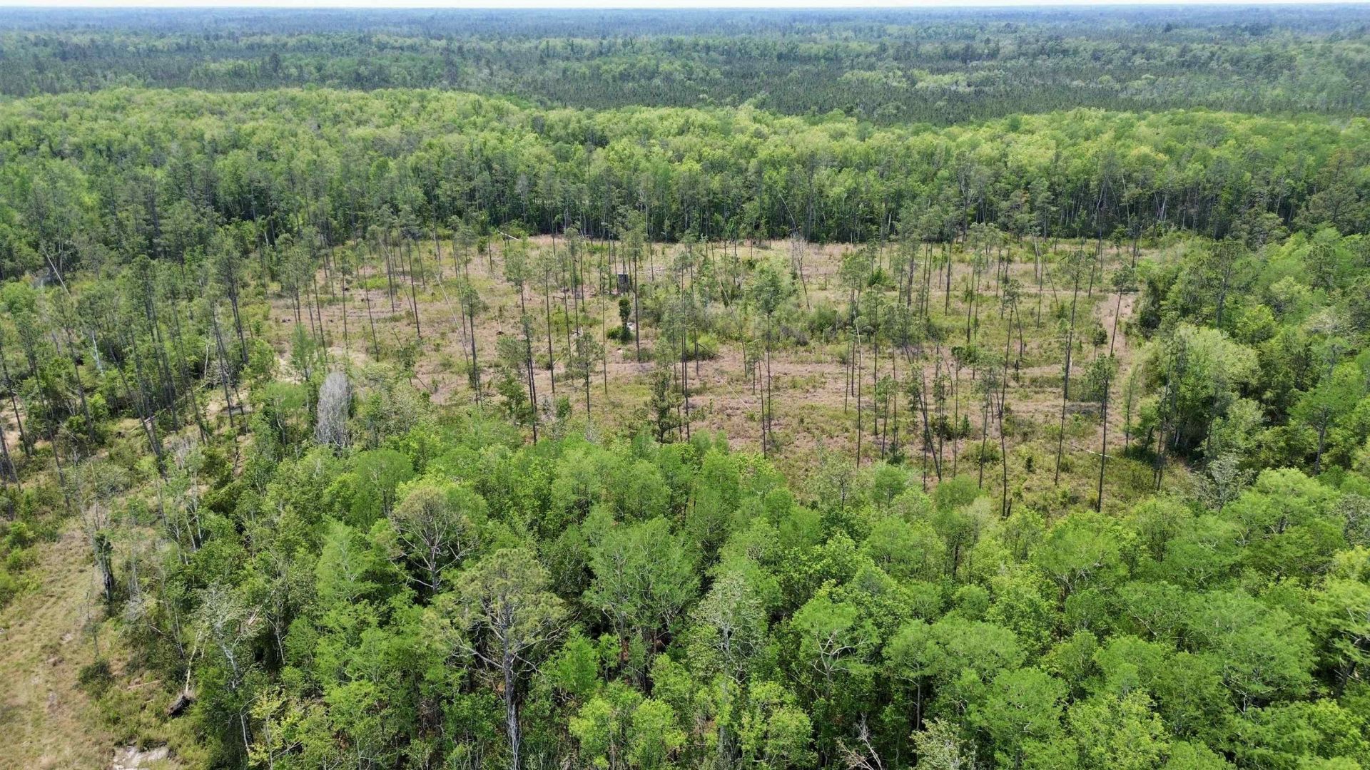 1193 SW Sw Oregon Trail , Greenville, FL 32331 Photo