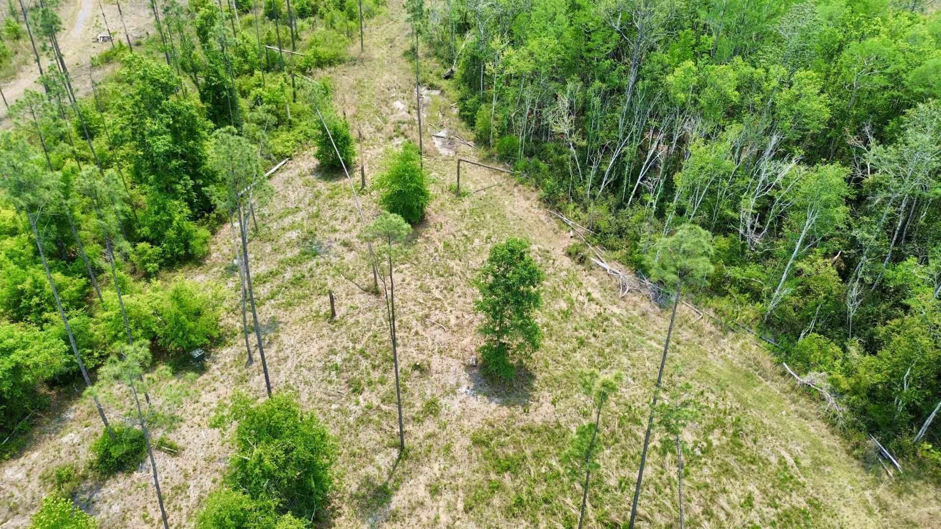 1193 SW Oregon Trail, Greenville, FL 32331 Photo