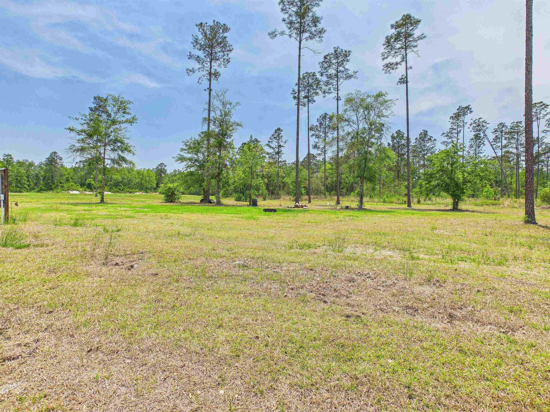 1193 SW Oregon Trail, Greenville, FL 32331 Photo