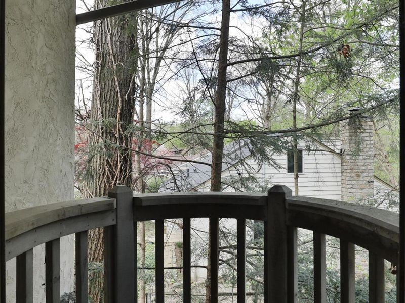 455 Walhalla Road, Columbus, OH 43202 Photo 63