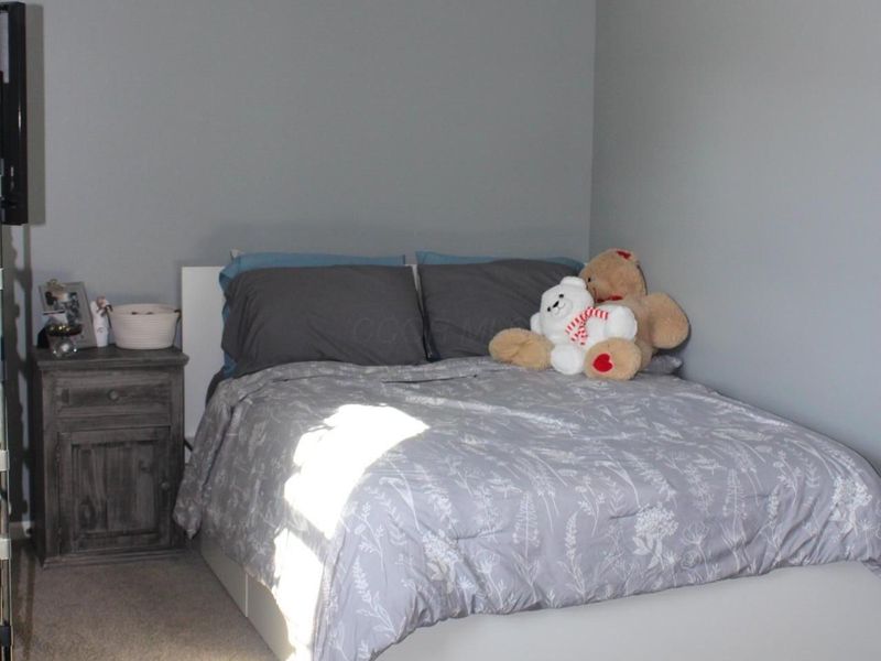 9608 Loudon Street, Johnstown, OH 43031 Photo 28