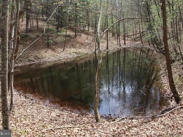 HODGES LOT 14 LANE , WINCHESTER, VA 22603