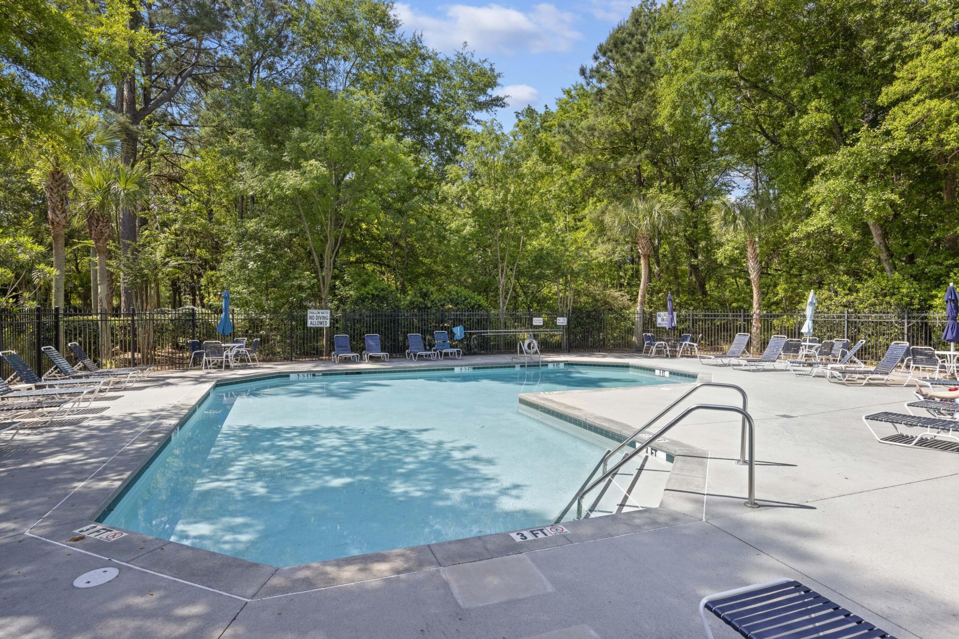 403 Tree Branch Circle Photo 23