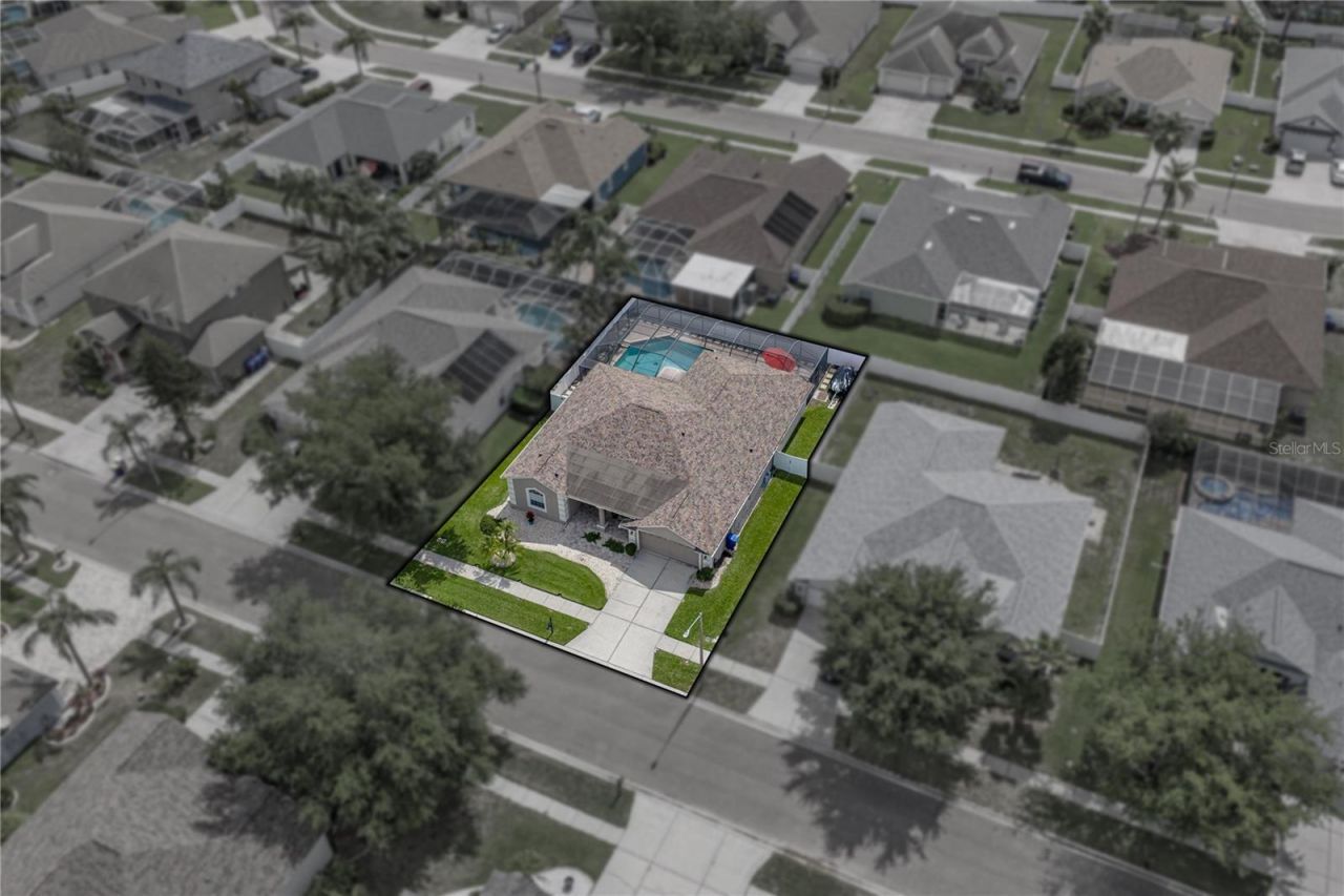1542 Swamp Rose Lane , Trinity, FL 34655 Photo