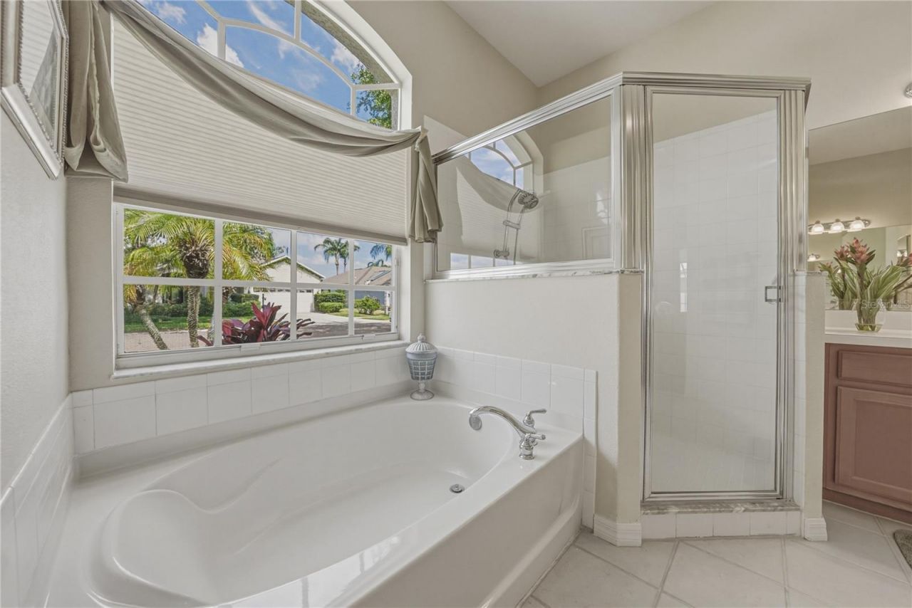 1542 Swamp Rose Lane , Trinity, FL 34655 Photo