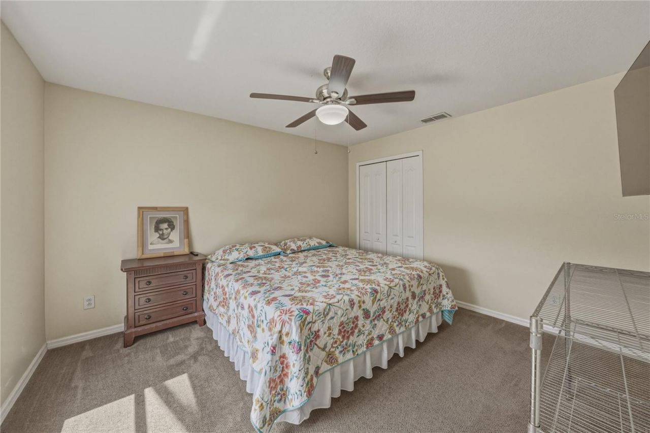 1542 Swamp Rose Lane , Trinity, FL 34655 Photo
