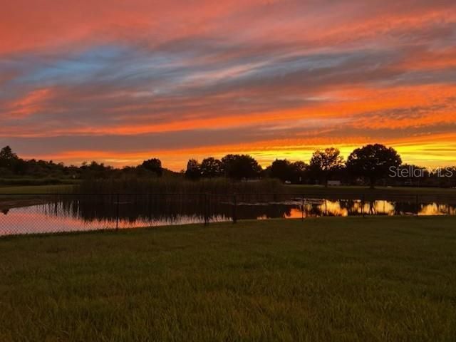 9515 Simeon Drive, Land O Lakes, FL 34638 Photo