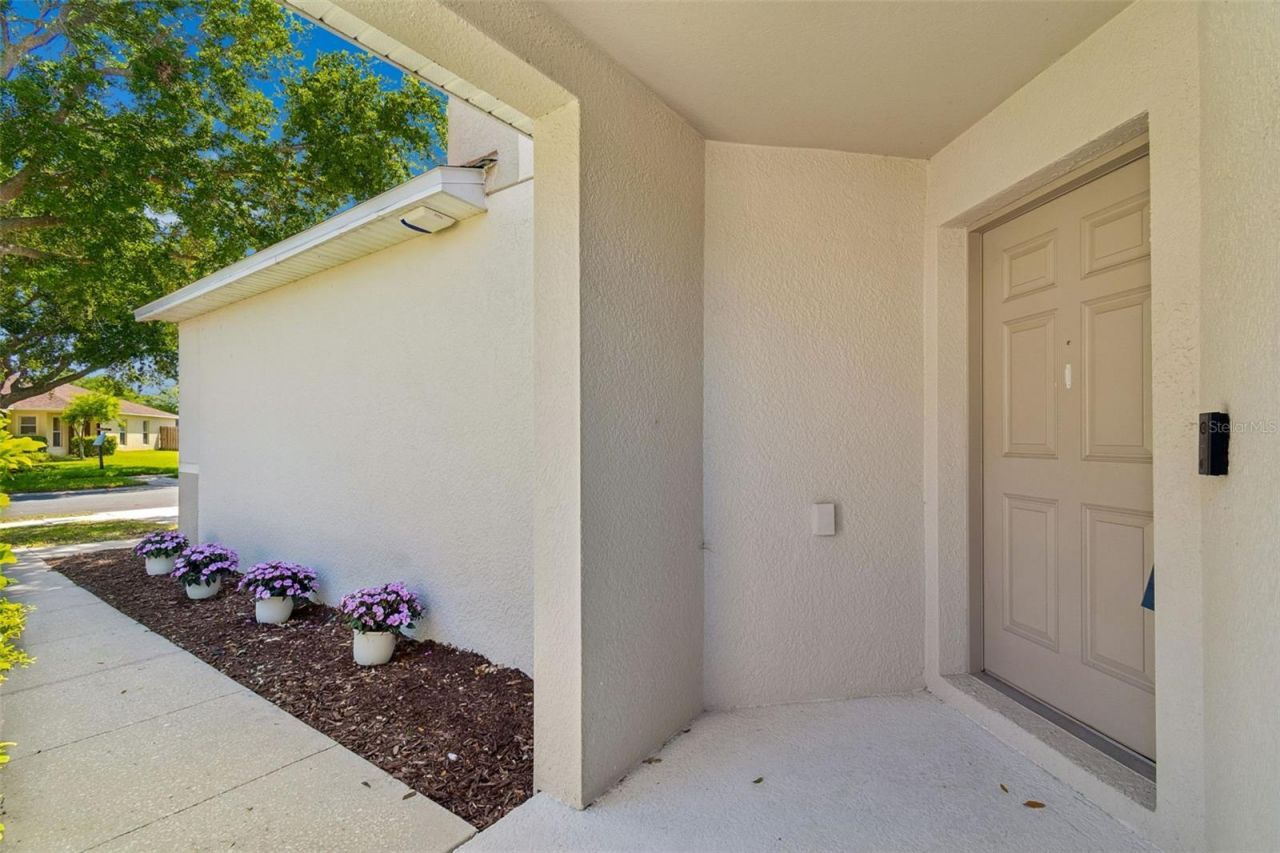 9515 Simeon Drive, Land O Lakes, FL 34638 Photo