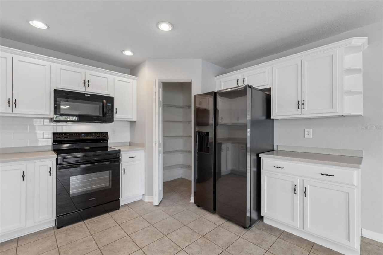 9515 Simeon Drive, Land O Lakes, FL 34638 Photo