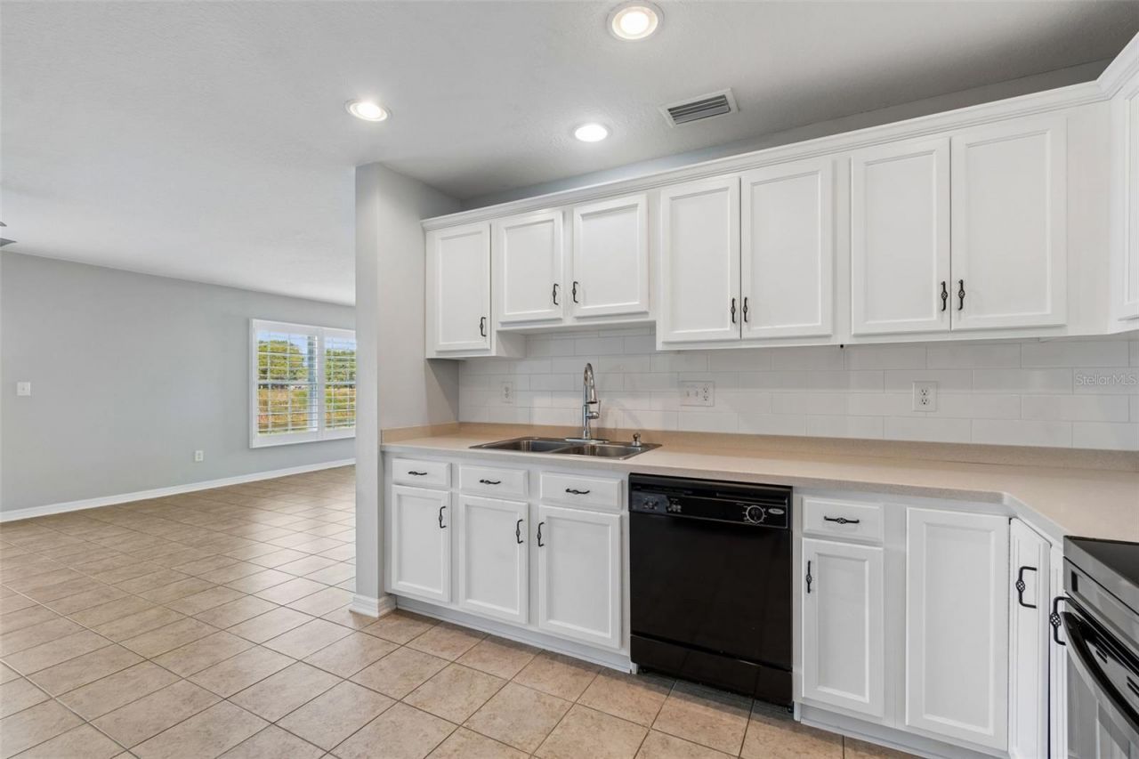 9515 Simeon Drive, Land O Lakes, FL 34638 Photo