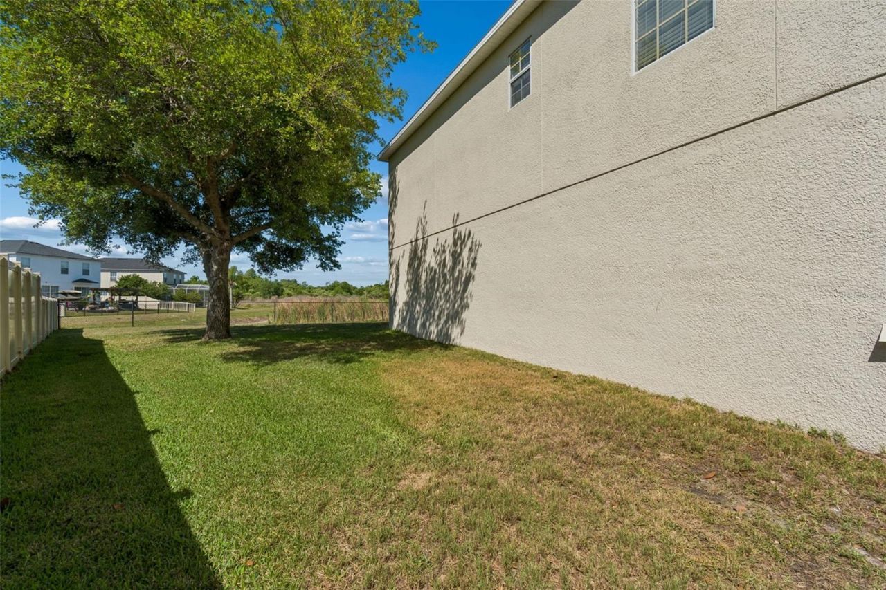 9515 Simeon Drive, Land O Lakes, FL 34638 Photo