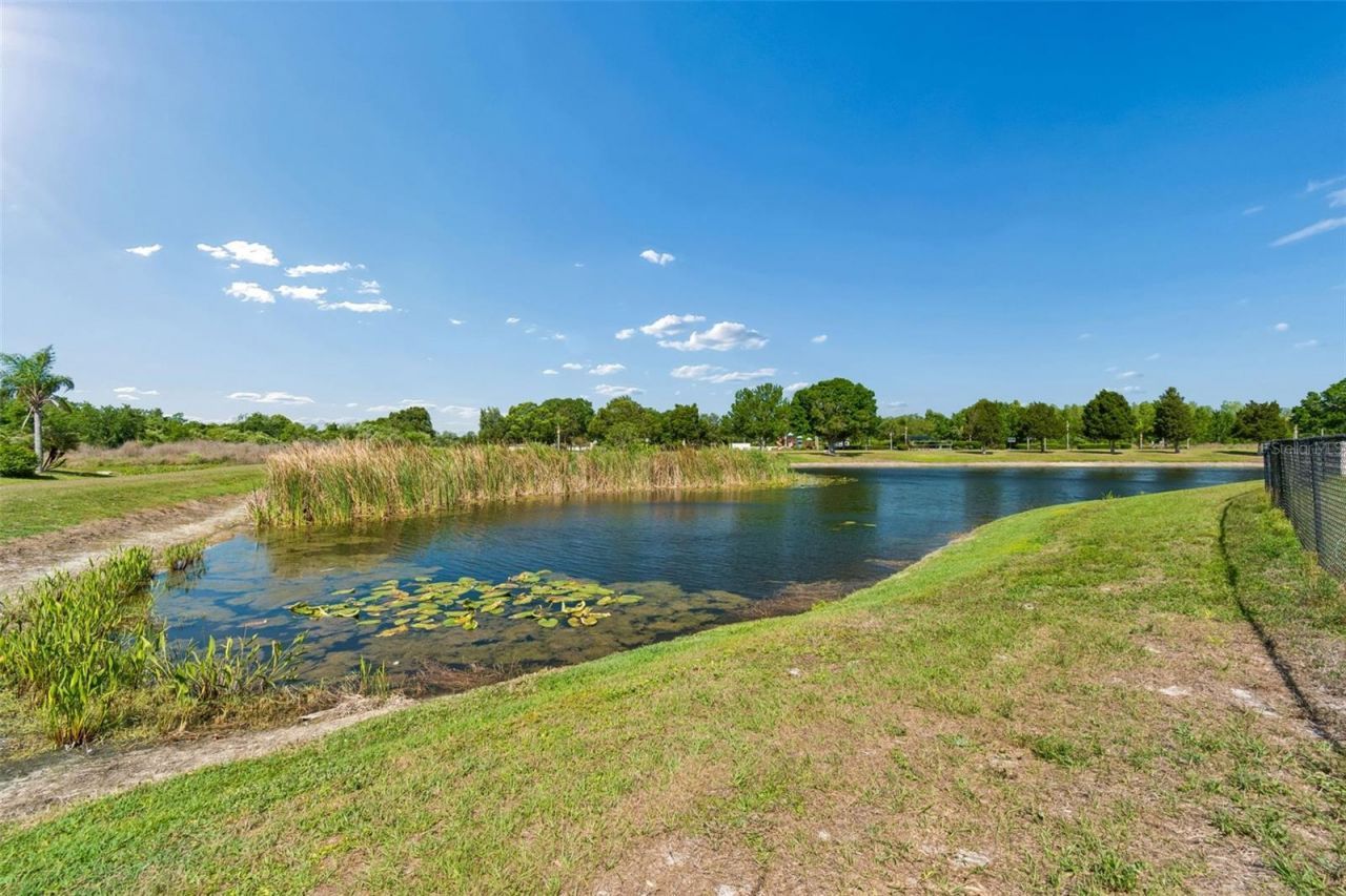 9515 Simeon Drive, Land O Lakes, FL 34638 Photo
