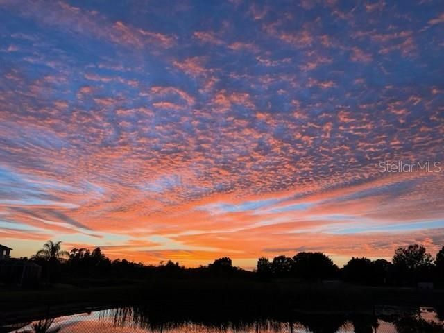 9515 Simeon Drive, Land O Lakes, FL 34638 Photo