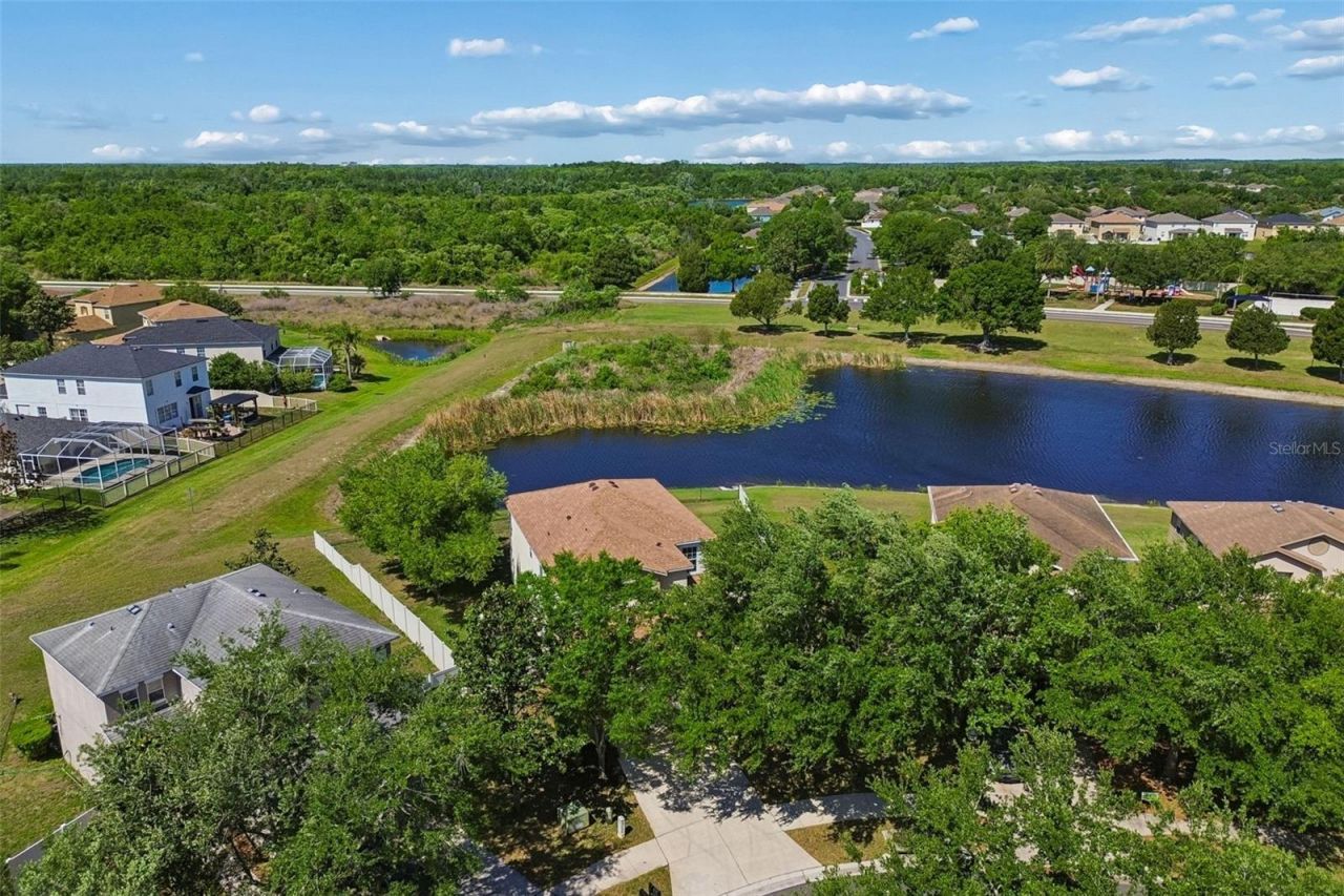 9515 Simeon Drive, Land O Lakes, FL 34638 Photo