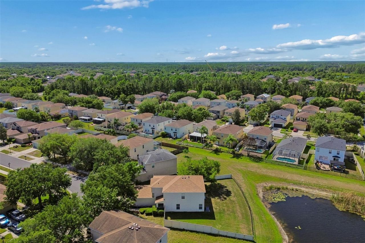 9515 Simeon Drive, Land O Lakes, FL 34638 Photo