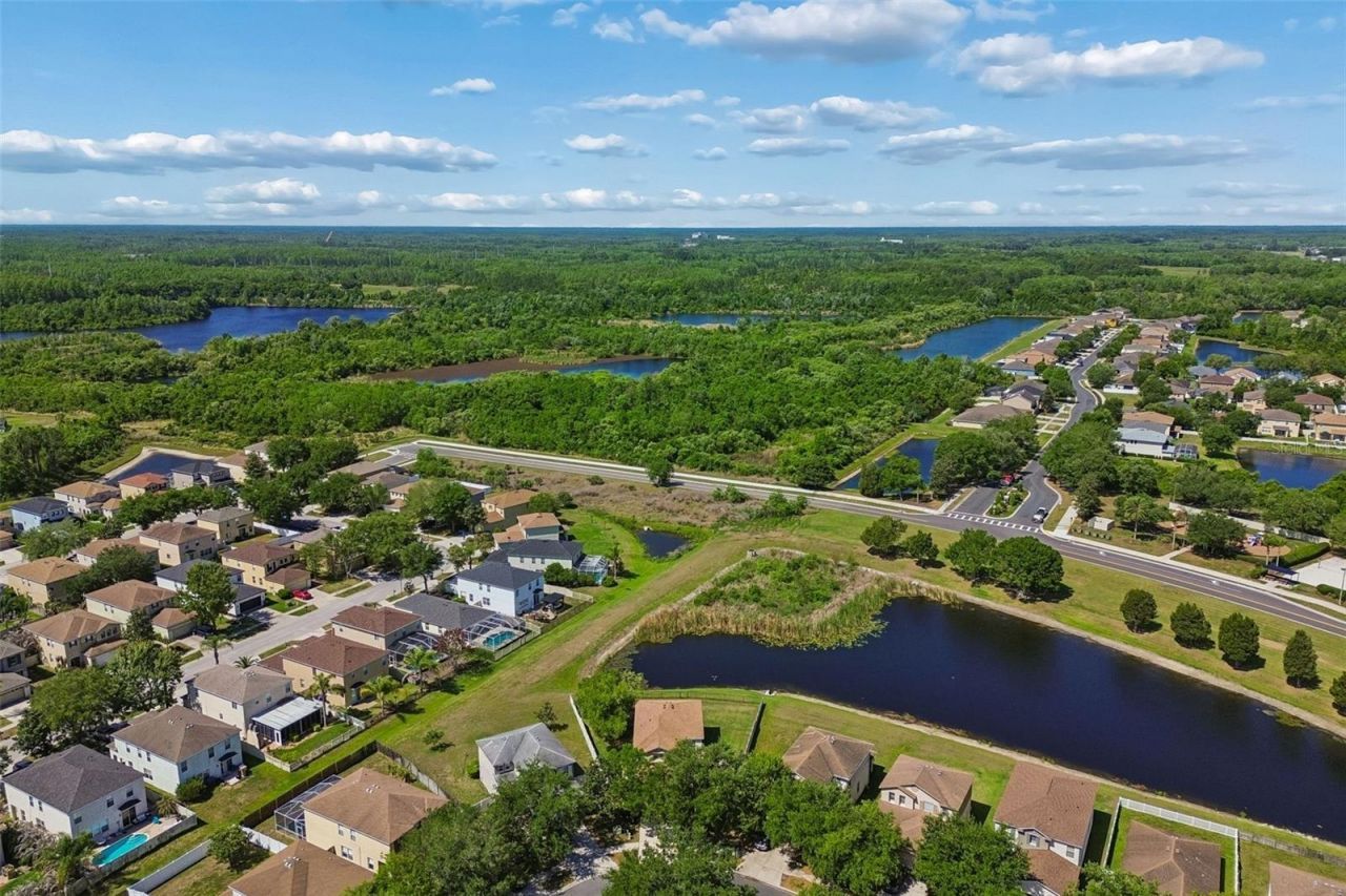 9515 Simeon Drive, Land O Lakes, FL 34638 Photo