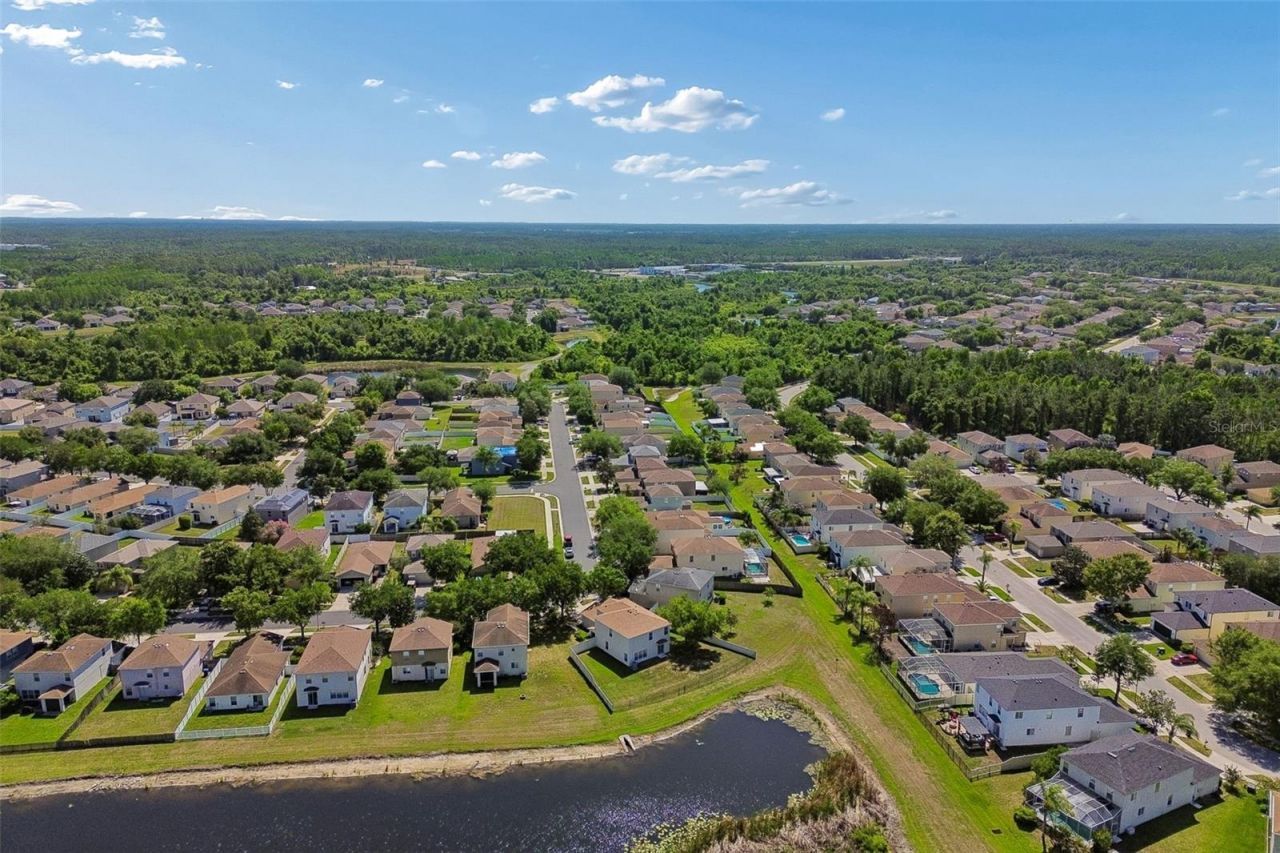 9515 Simeon Drive, Land O Lakes, FL 34638 Photo