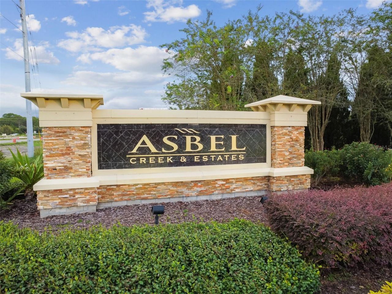 9515 Simeon Drive, Land O Lakes, FL 34638 Photo